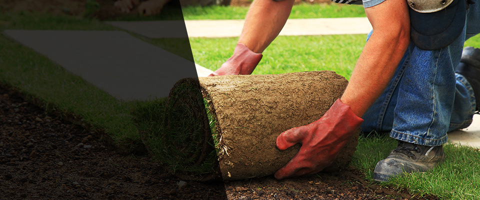Henriette Landscapers